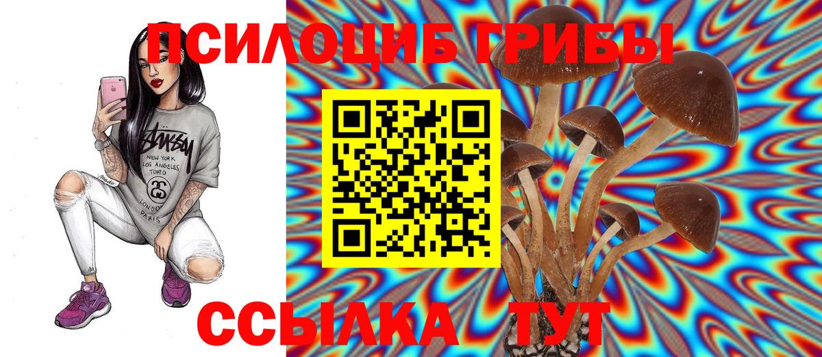 Псилоцибиновые грибы MAGIC MUSHROOMS Кострома
